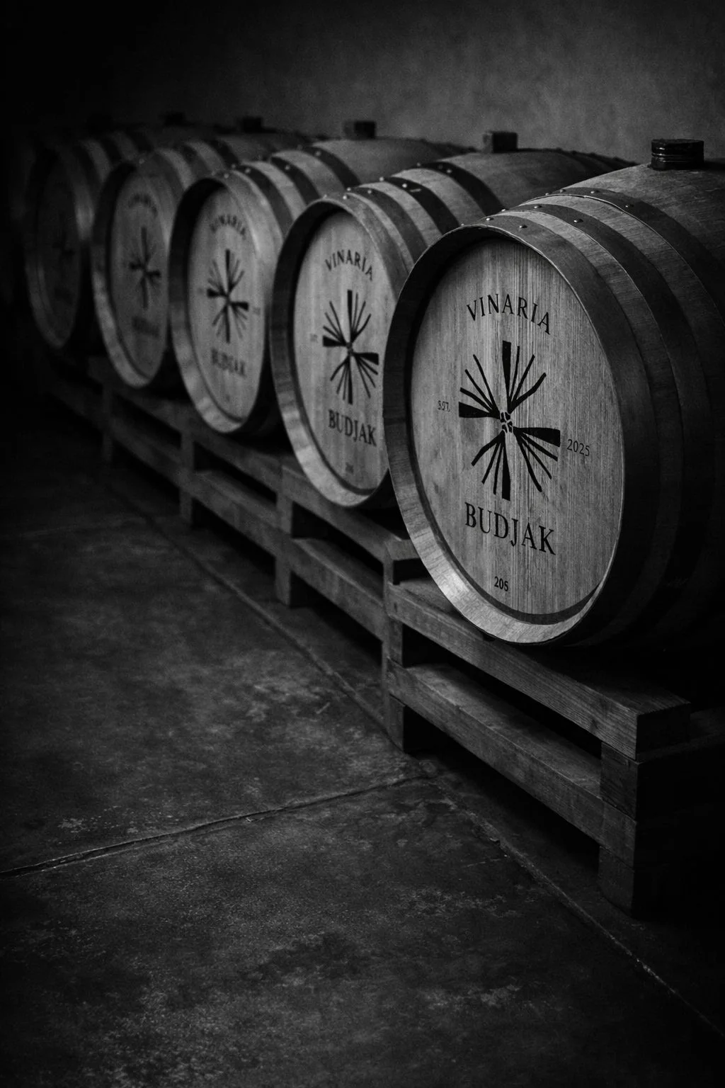 A row of Budjak Vinaria oak barrels in the cellar