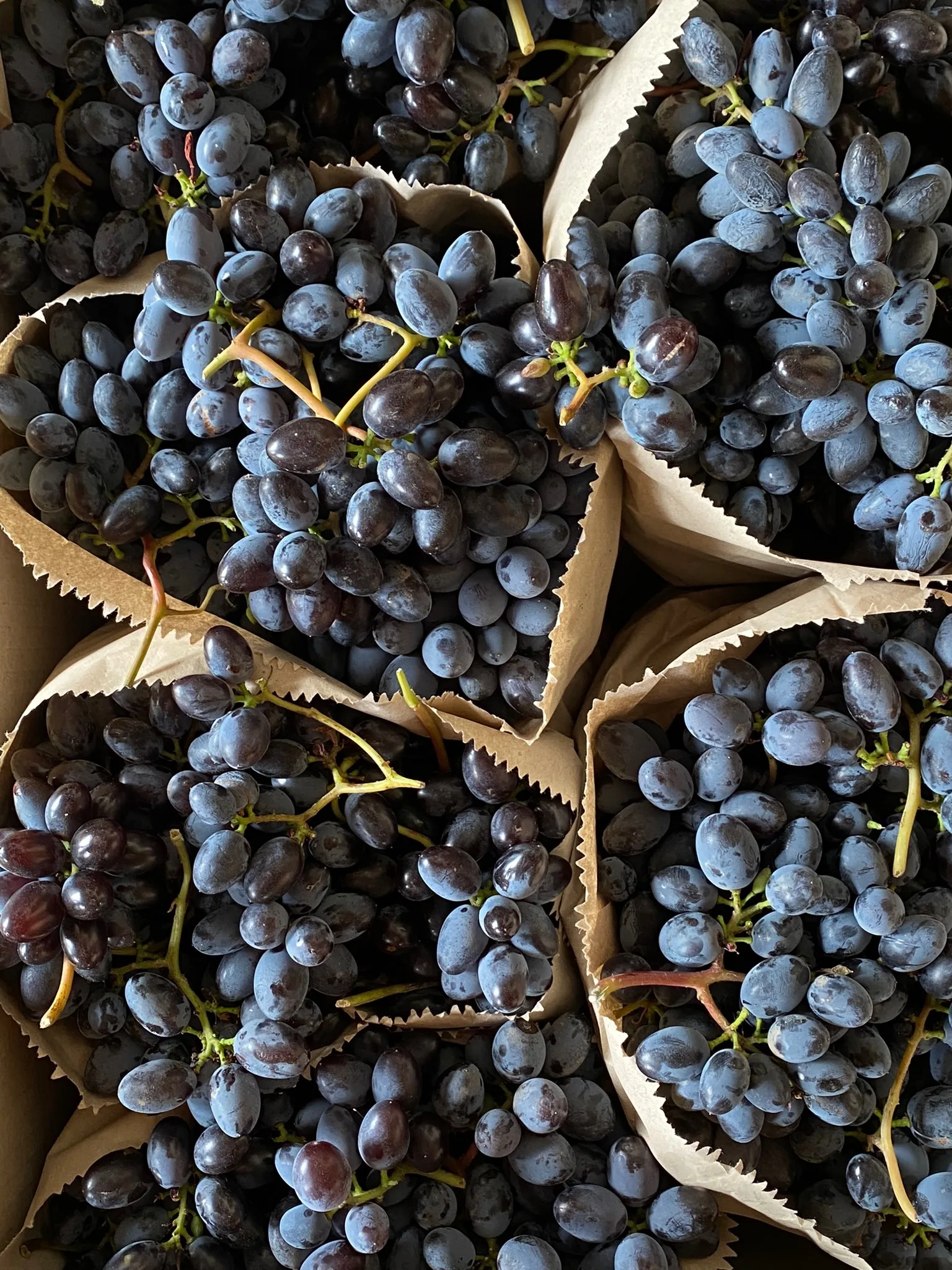 Dark grapes wrapped in paper