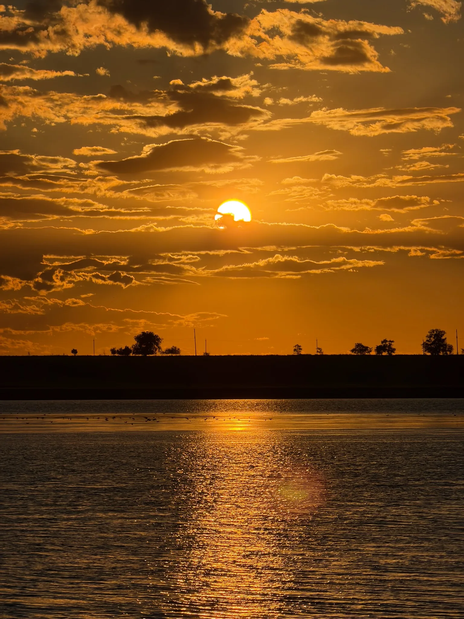 A golden evening over the water