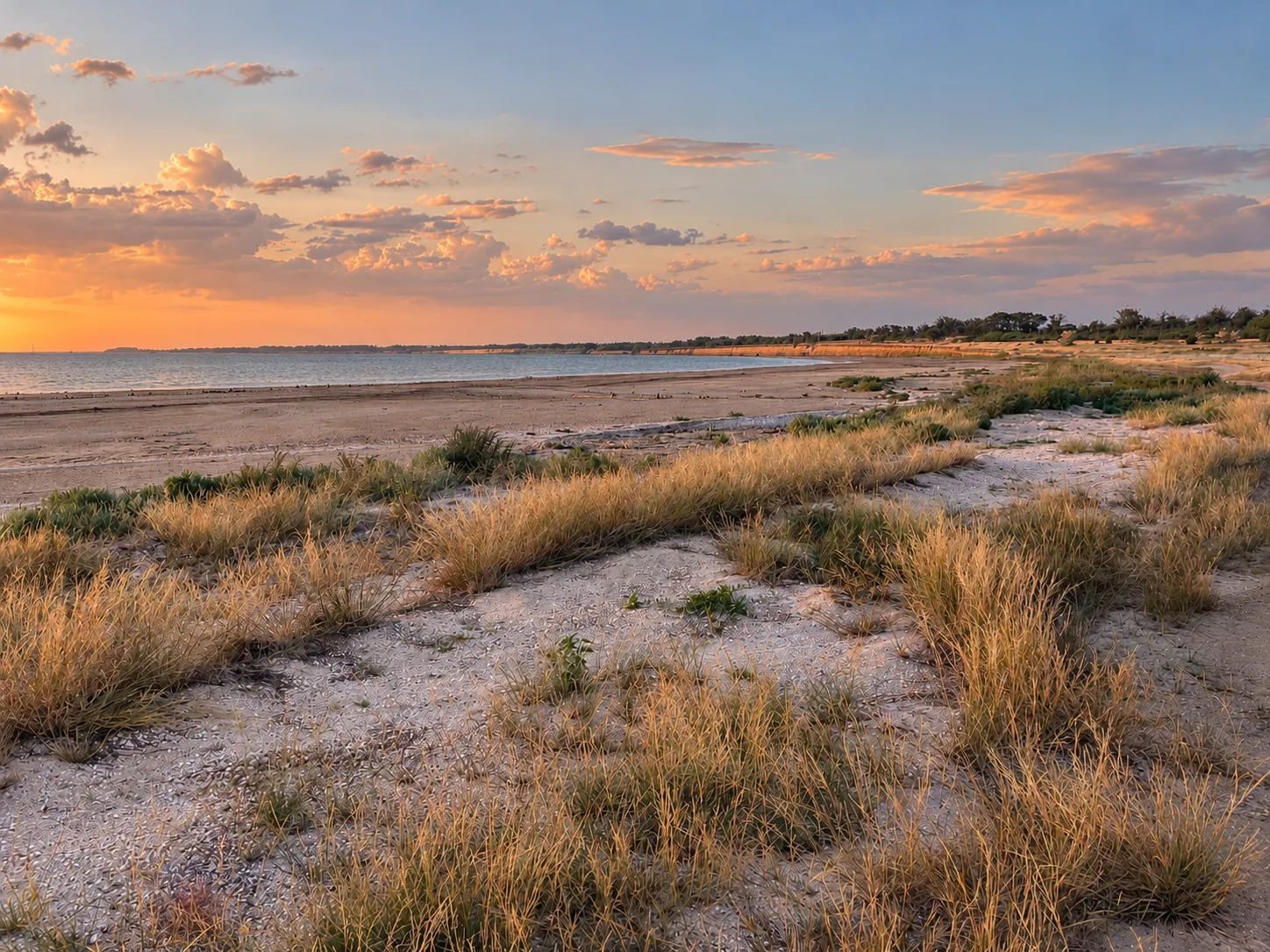 The shore at sunset: sand, steppe grass and the calm sea